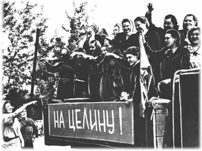 Целина