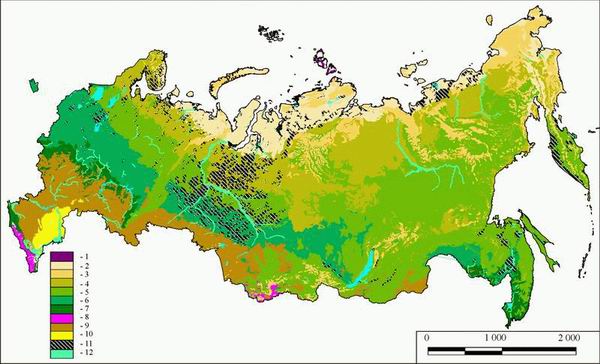 природные зоны России